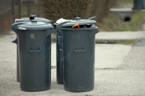 Rubbish Boy's eco-friendly waste management