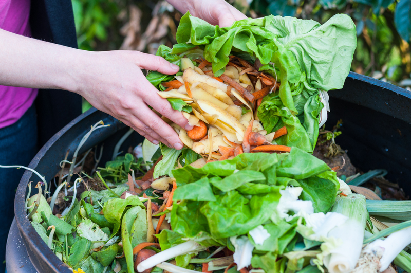 In the image, a person is shown emptying a bag of food scraps and kitchen waste into a large black compost bin or waste container positioned outdoors on a paved surface. The waste includes various vegetables such as leafy greens, carrots, and potato peelings, with some scraps spilling over the edge of the bag and into the bin. The person's hands are visible holding the biodegradable bag, which appears to be made of paper or compostable material, with part of their arm and torso also in view, dressed in casual clothing. Behind the bin, there are blurred green foliage and plants, indicating that the scene is set in a garden or backyard area, typical of environmentally conscious rubbish disposal practices in London or surrounding areas. The lighting suggests a natural outdoor environment, supporting the context of organic waste collection or composting, which Rubbish Boy might assist with as part of their rubbish removal services in London.